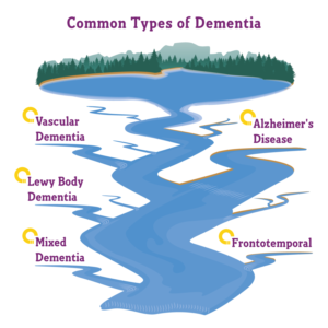 Graphic of Rivers with Tributaries -  types of Dementia for American Indian Audience | Graphic Design by Gabriel T. Marques