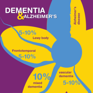 Graphic of Rivers with Tributaries -  types of Dementia for American Indian Audience | Graphic Design by Wanda.G