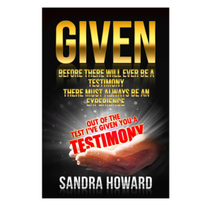 Book cover design for a book named GIVEN | Book Cover Design by NatPearlDesigns