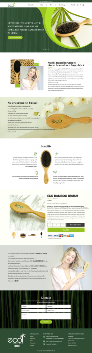 Eco Bamboo Brush | Wordpress Design by Titan Eagle