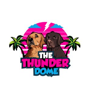 THE THUNDER DOME | Logo Design by UMA 7