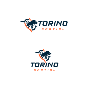 Torino Spatial | Logo Design by ThiagoB