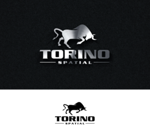 Torino Spatial | Logo Design by step forward 2