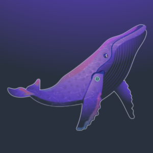 Whale Illustration For Sustainability Focused Crypto | Illustration Design by AndySuseno