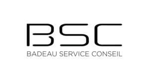 Logo Design by Grafactory for Badeau Service Conseil | Design #27996416