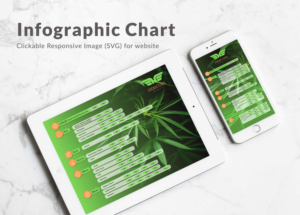 Infografik-Design von JanuXart