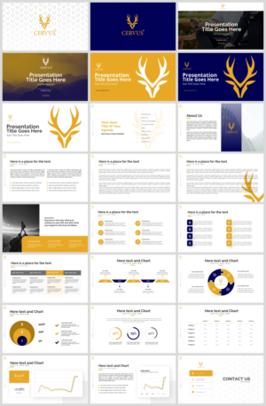 PowerPoint Design by IndreDesign