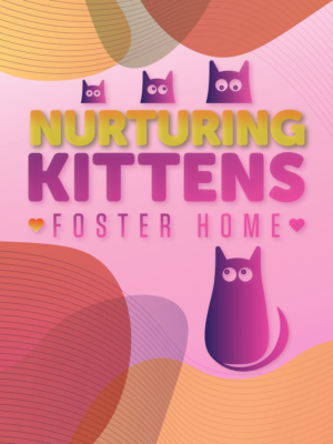 Abandoned kittens -  foster home needs a 18 x 24 inch design for new kitten space.