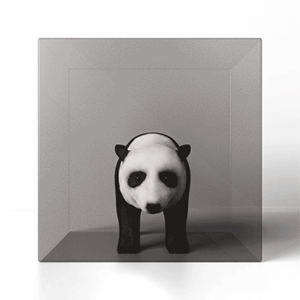 Panda in a spinning cube | 3D Design von hover