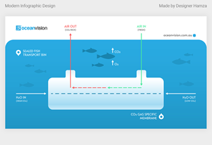 Infographic Design by Designer Hamza