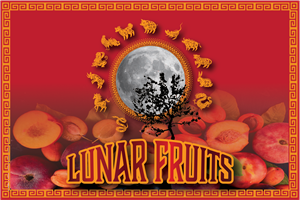 Lunar Fruits - design a brand for packaging (boxes and punnets of fruit) | Packaging Design by Vyacheslav65