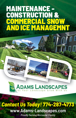 Flyer-Design von creative.SB für Adams Landscapes, LLC | Design #29050579