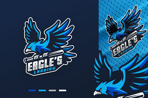 Eagle's Landing | Logo-Design von Aezakmi