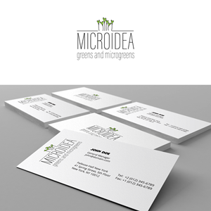 Logo Design by neyvmila