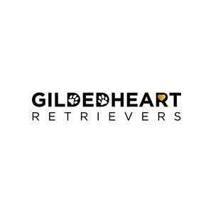 Logo Design by MonkDesign for Gildedheart Retrievers | Design #30744690