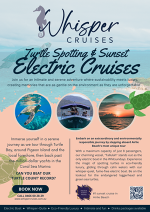 Graphic Design by DesignerStarr for Whisper Cruises | Design #32499032