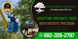 Billboard Design by Adi GFX for Tree Workers Of Phoenix | Design: #32859627