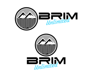 Logo-Design von Paint-Tools für Brim Unlimited | Design #33815872