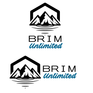 Logo-Design von Kings Bishop Design für Brim Unlimited | Design #33844047