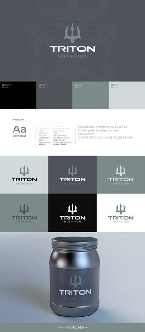 Logo Design by Bear Studio