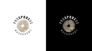 Logo Design by phosphorus