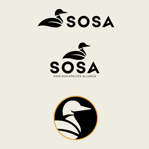 Logo Design by Killer Draw