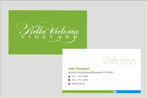 Business Card Design by Anil