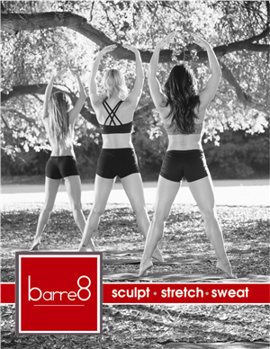 A fresh 'Barre Workout' Design Needed  | Poster-Design von cb1318