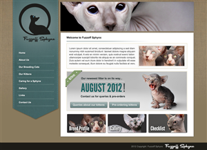 Sphynx Cat Breeder | Web-Design von Lara