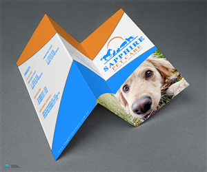 pet sitting business brochure | Brochure Design by Athird Creatives