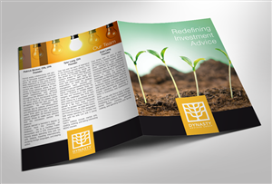 Large Financial Advisory Firm Needs a Brochure! | Brochure Design by RedOne22