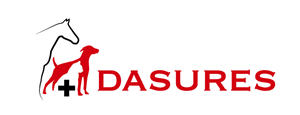 Dasures | Logo Design by TSEdesign