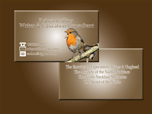 Business Card Design by Dizdar Inc Design