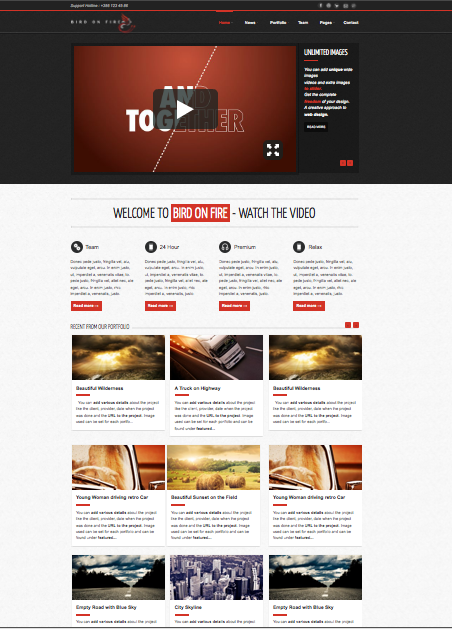 WordPress-Design von schk für Bird on Fire Pty Ltd | Design #1283830