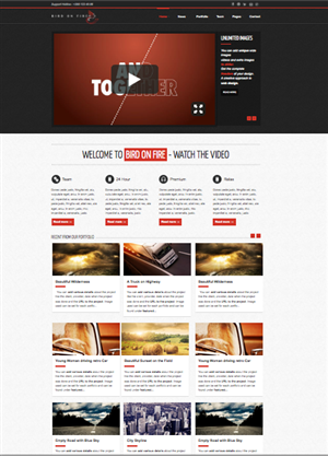 Wordpress Design by schk