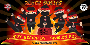 Black Ninjas Team Poster | Poster Design by Pinky 