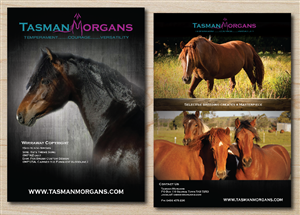 Tasman Morgans flyer | Flyer-Design von alex989