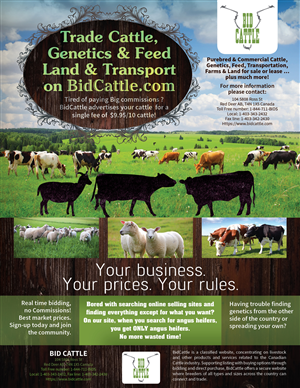 Online Cattle Auction Needs Brochure Design | Brochure Design by INGA DESIGN