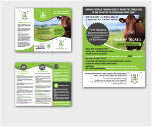 Online Cattle Auction Needs Brochure Design | Brochure Design by mcoco