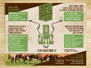 Online Cattle Auction Needs Brochure Design | Brochure Design by MilM