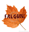 Falguni