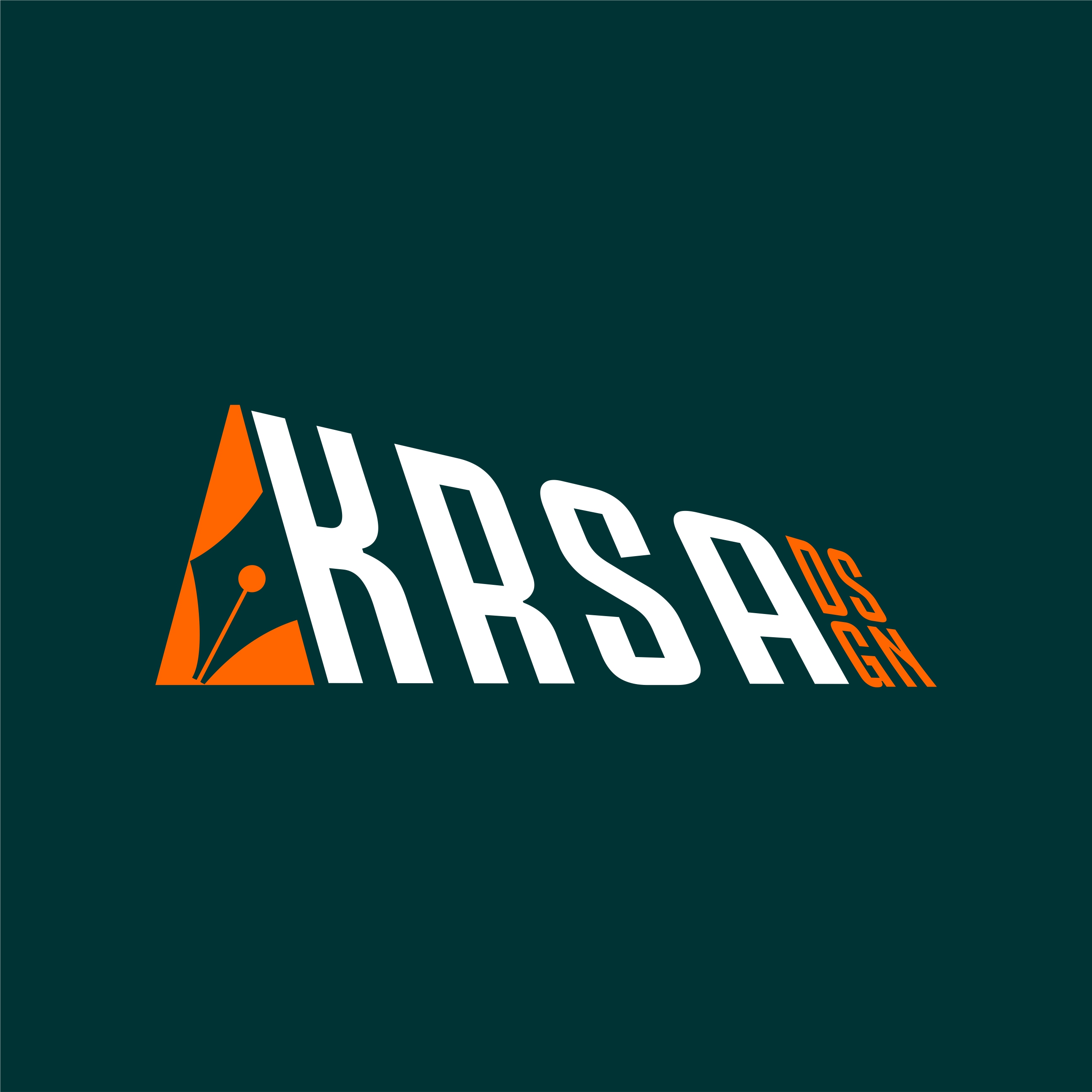 KRSA.DSGN's profile picture