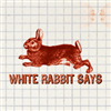 White Rabbit Says