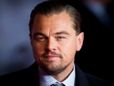 Leonardo DiCaprio Pledges $1 Million To Help Combat Wildfires