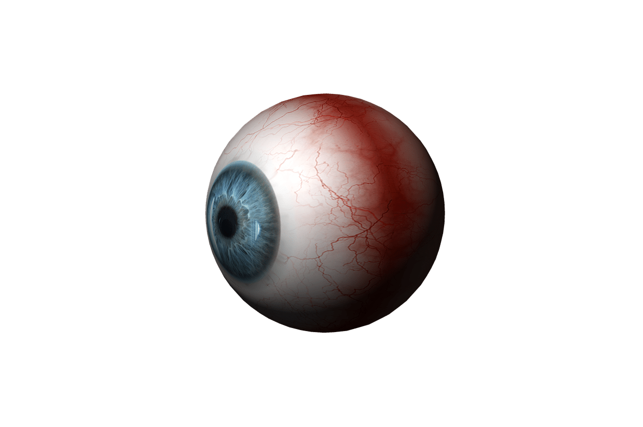 Ocular