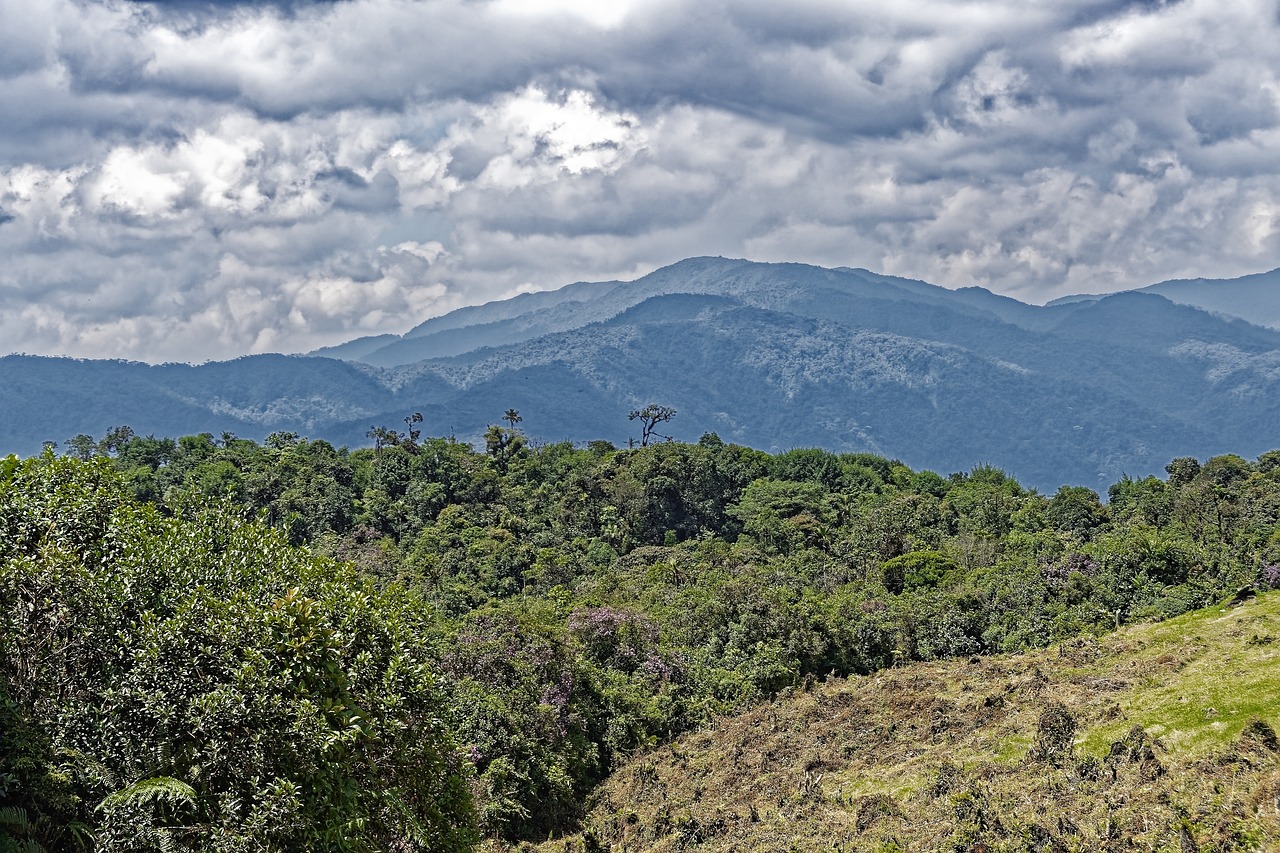 Protección del ambiente