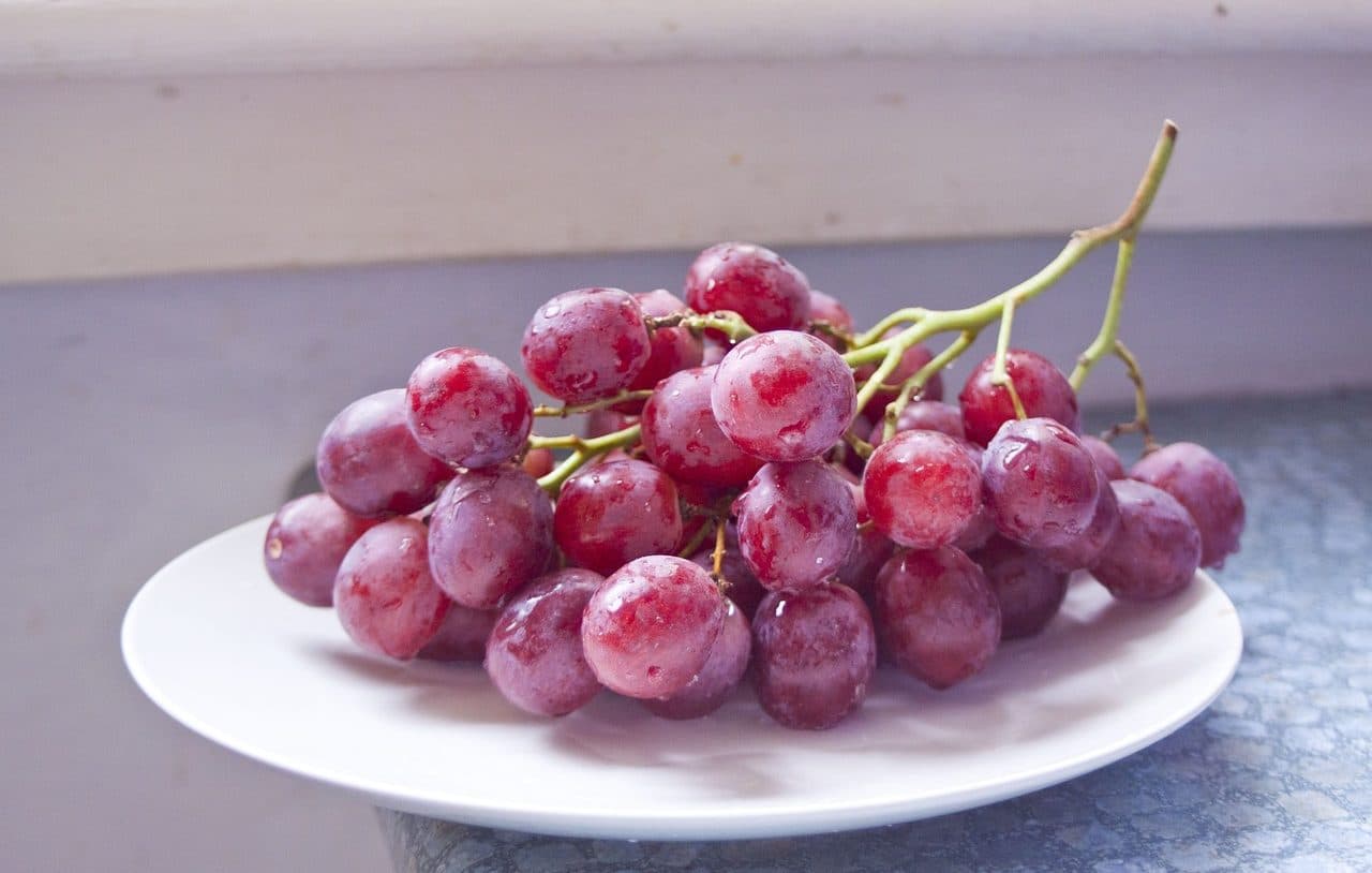 Uvas