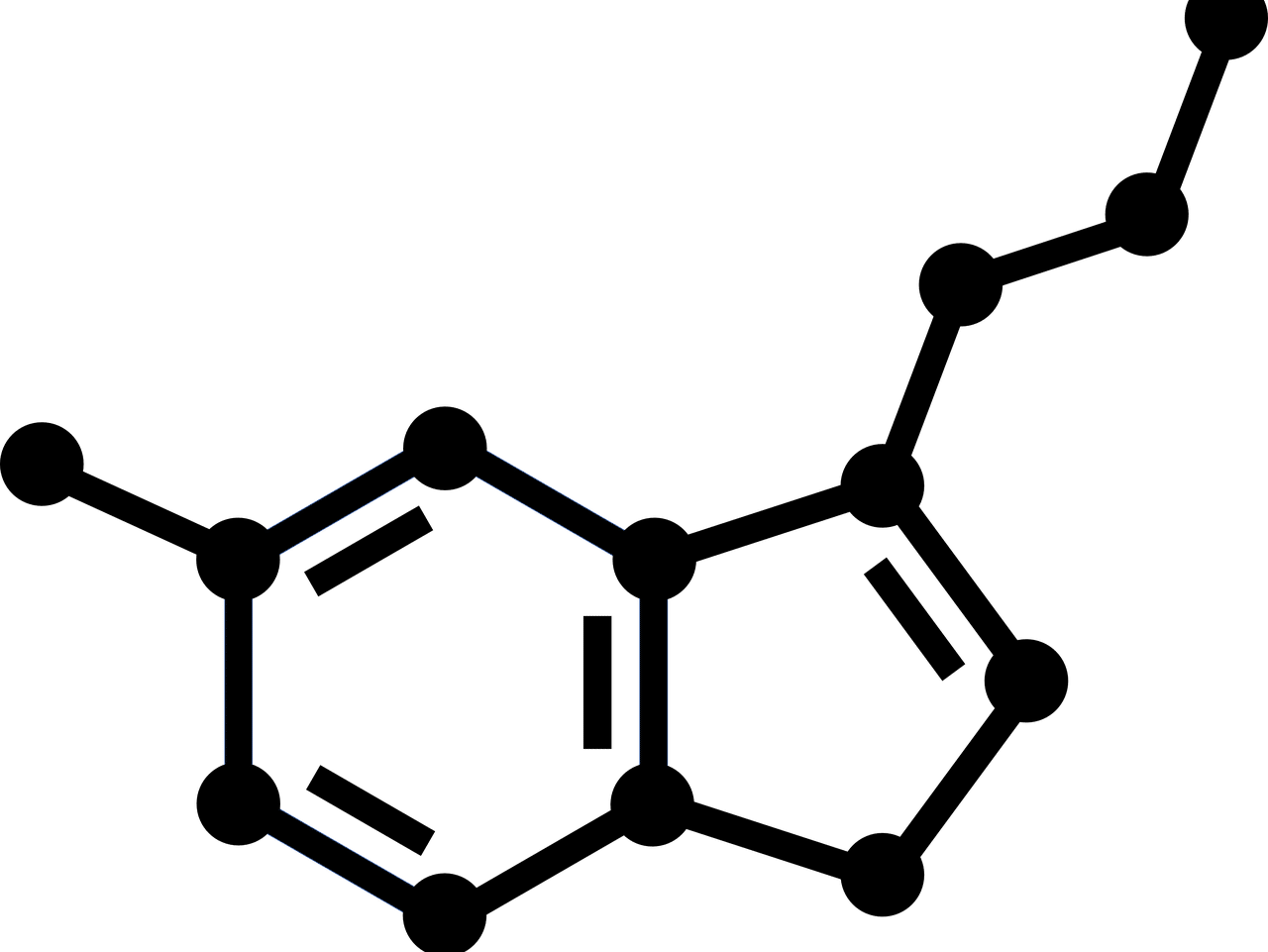 Sistema serotoninérgico