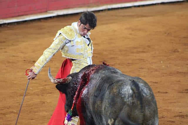 Corrida de toros