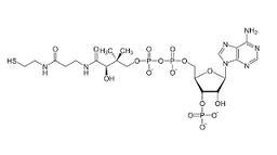 Cofactor